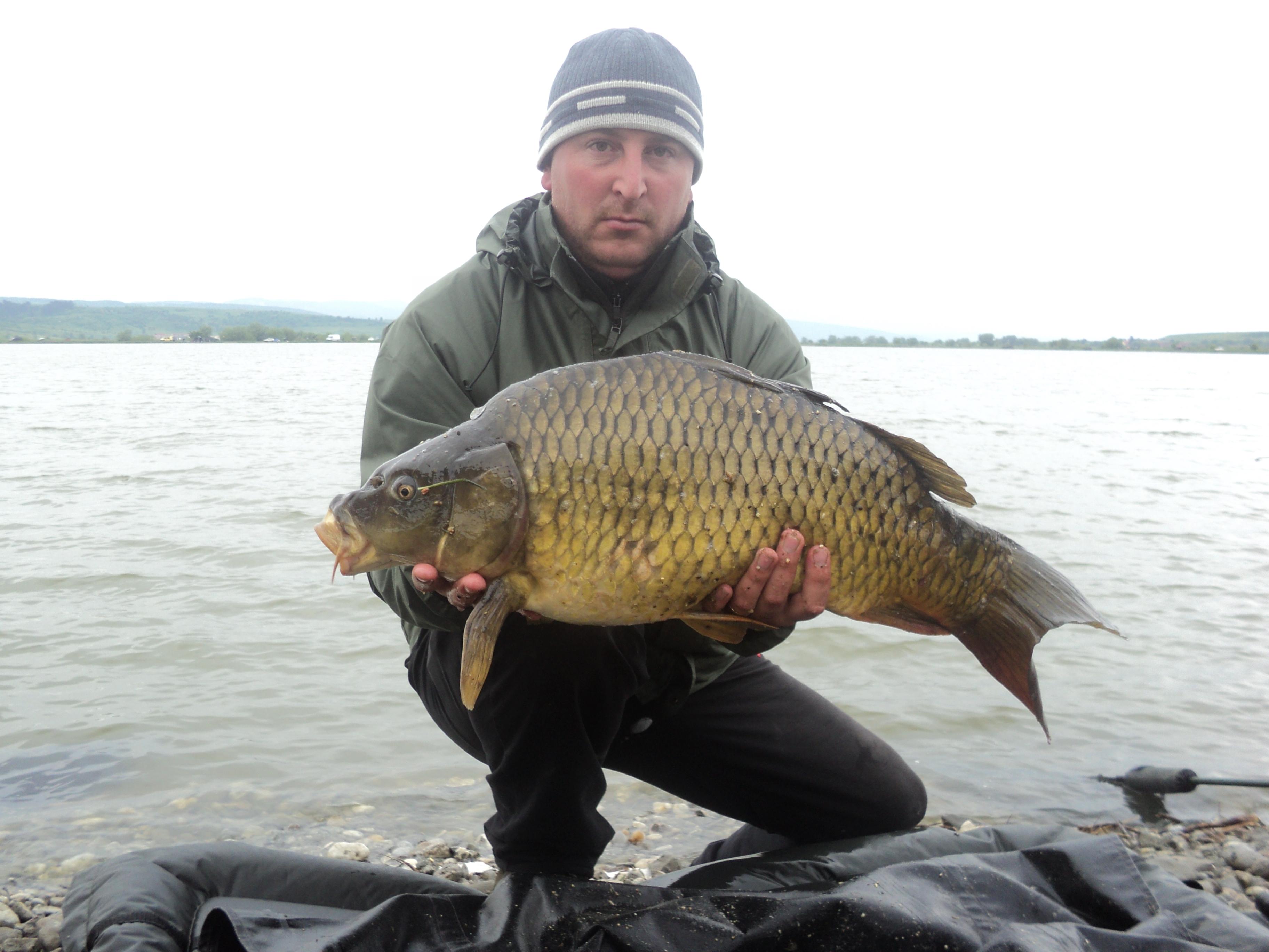 cupa energy brasov - DSC01430.JPG